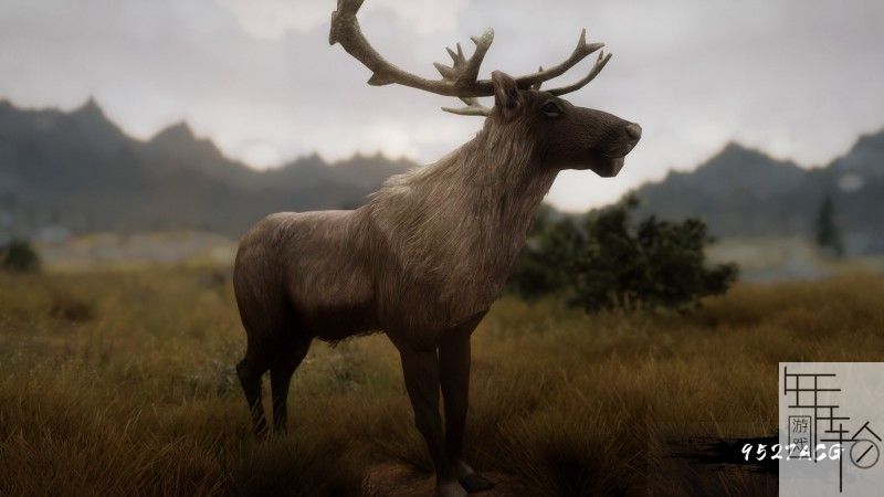 《上古卷轴5/老滚5》168传奇2.26MOD整合汉化版